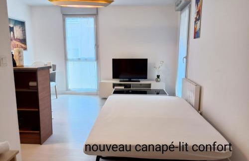 T2 cosy Villefranche proche centre-ville et autoroute - Foto 7