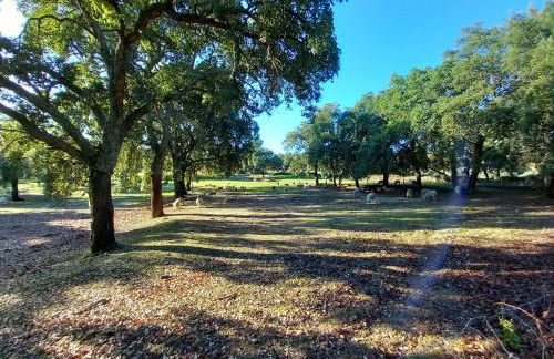 Casa da Vinha - Foto 38