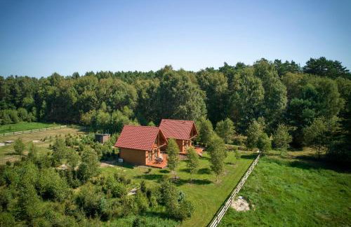 Osada Iwiec-Karpaty w Borach Tucholskich - Foto 19