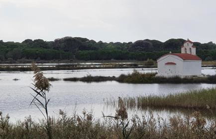 PETROS ROOMS to LET KALOGRIA BEACH - Foto 17