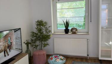 Bungalow no 9 - Foto 4