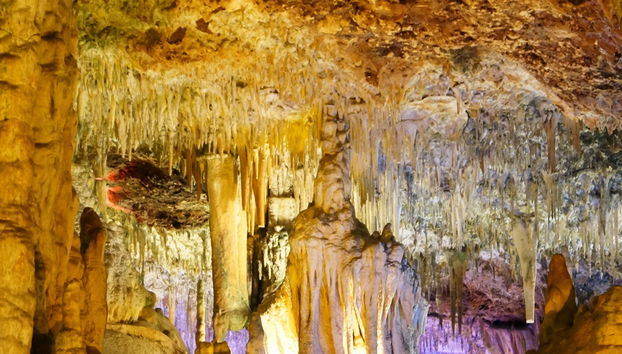 Excursion aux grottes de Hams et à Dinosaurland