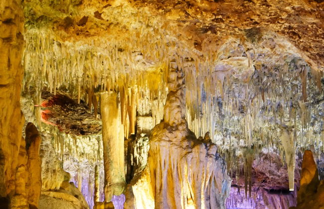 Hams Caves & Dinosaurland Trip - Foto 7