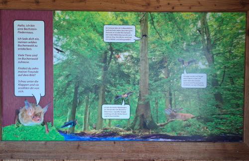 Ferienwohnung Schäfer am Nationalpark Kellerwald - Foto 23