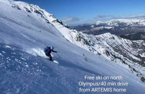 Artemis' Stone House - Photo 55