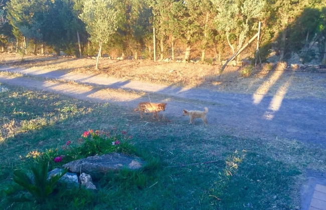 Agriturismo Sogno Latino - Photo 24