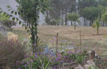 Casa Limonina - Foto 71