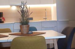 PINEA BALTIC - Double Sea View - Apartment z widokiem na morze - Photo 50