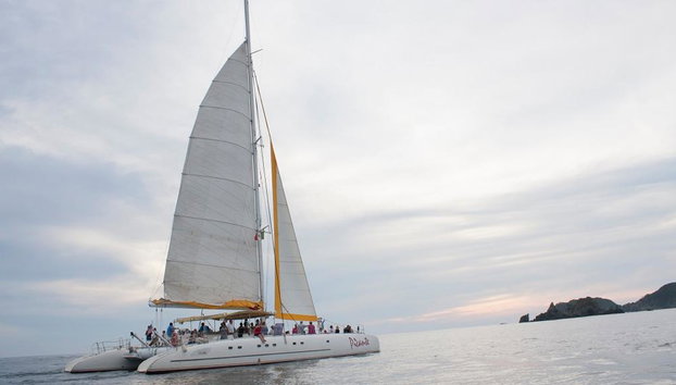 Whale Watching Aboard the Picante - Foto 4