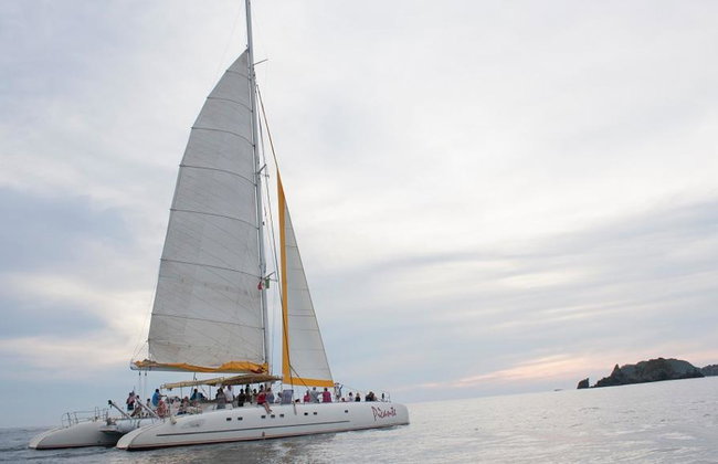 Whale Watching Aboard the Picante - Photo 4