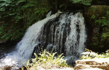 Gîte de France Chez baptiste 3 épis - Gîte de France 7 personnes MAE-0144 - Foto 27