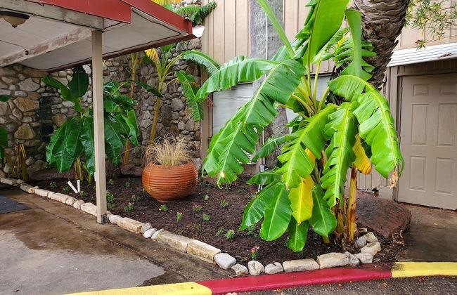 Happy Bay - Photo 23