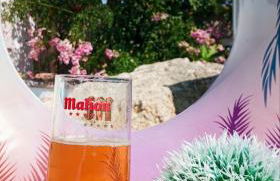 Casa Rubito el Olmo - Foto 54