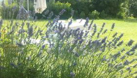 il Fienile di Penelope - Foto 4