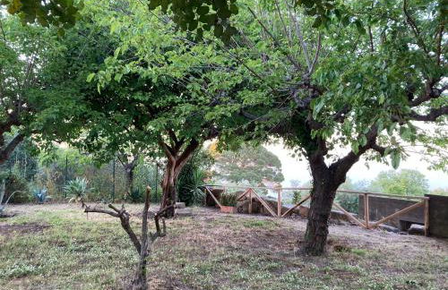 Bouganville in Villa Greco - Foto 79