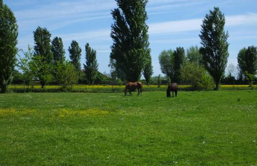 Agriturismo Adriano Pedretti - Foto 55