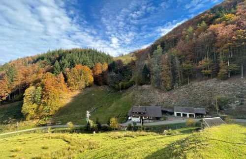 Bauernhaus im Münstertal - Foto 7
