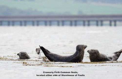 Foulis Cottage, Foulis Estate, Highland Scotland - Foto 18