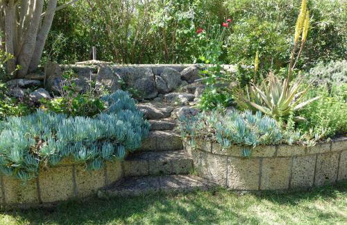 Finca Las Canitas - Ferienhaus Teneriffa - Foto 27