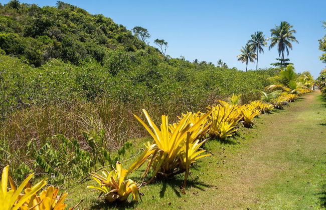 Suite da Vila - Praia do Espelho - Photo 30