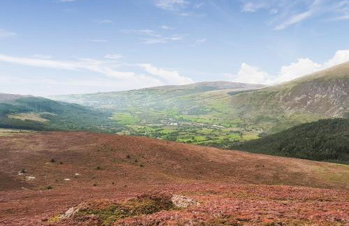 Bryn Derw - Photo 21