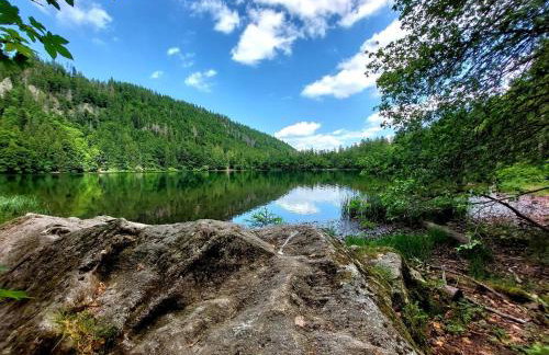 Ferienwohnung Penthouse Feldberg - Photo 37