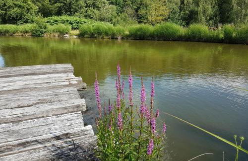 Ferienwohnungen am Büchlhof im Oberpfälzer Seenland - Foto 19