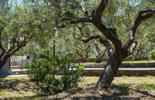 ALICE casa vacanza - Foto 21