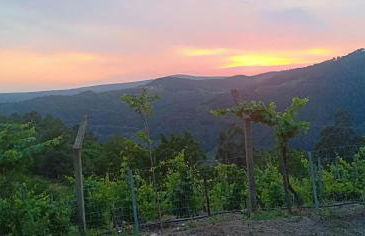 Casa da Viña - Ribeira Sacra - Foto 14