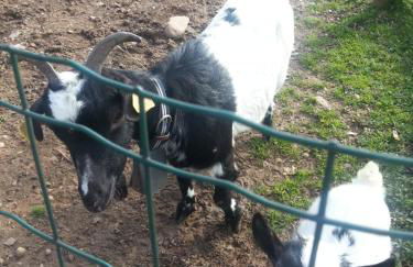 Agriturismo Corte Gaia - Foto 75