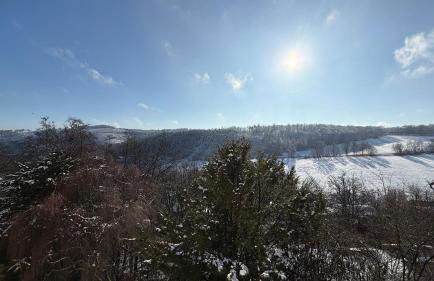 GNA02 - Zeitgemäße Apartments mit modernen Küchen, Balkon & Parkplatz - Foto 7