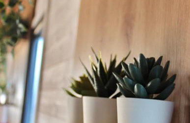 KE-Tiny-Siedlung Haus Buddy - Foto 10