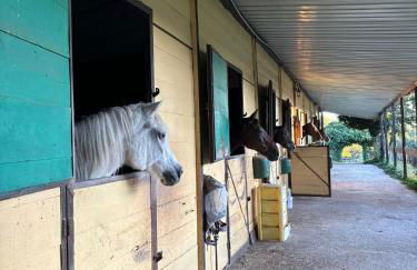 Agriturismo Prisma - Foto 34