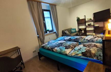 ansimali 1- Gemütliche FeWo mit Küche und Gartenblick in Grünhain-Beierfeld für Tierfreunde und Radliebhaber - Foto 36