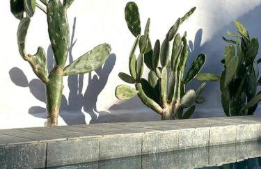 Casa Palma - Foto 30