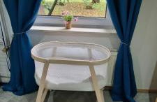 The Cottages - Pet Friendly - Photo 13