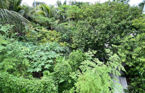 Eco Friendly Secluded OceanView Pool near Key West - Foto 70