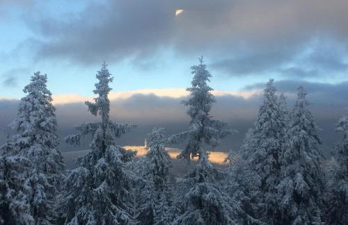 Ferienwohnung Pedall - Foto 14