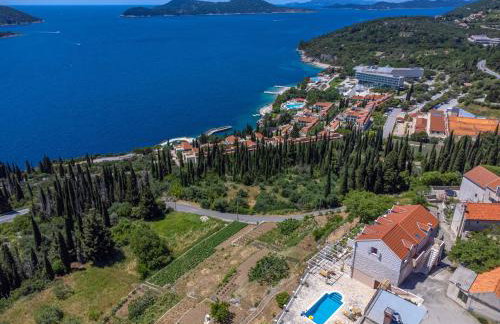 Apartments Bralovic - Photo 22