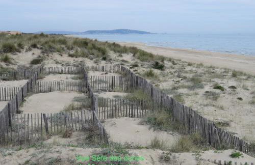 Horte neuve - Foto 58