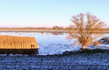 Ferienwohnung Elbe Diek - Foto 39