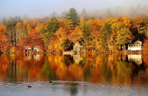 Waterfront Escape with Kayak, Paddle Boards, and Sauna - Foto 40