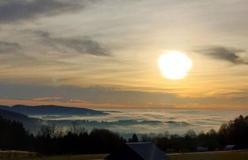 Bayerwaldtiny - Foto 11