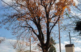 Mouria Country House - Foto 23