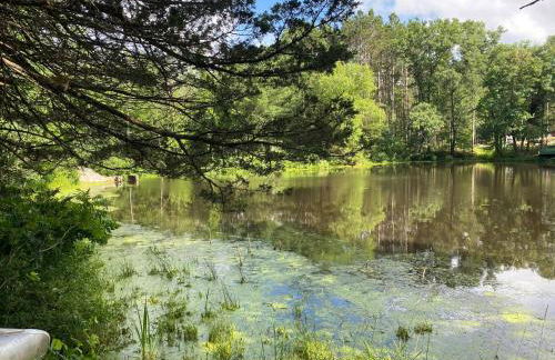 New Listing 2BR/2BA on Trout Lake HotTub & Firepit - Foto 11