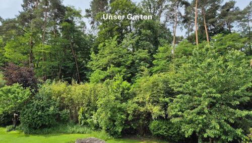 Stilvoll am Wald wohnen 115 qm Office citynah - Foto 2