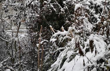 Iliana's house - Photo 8