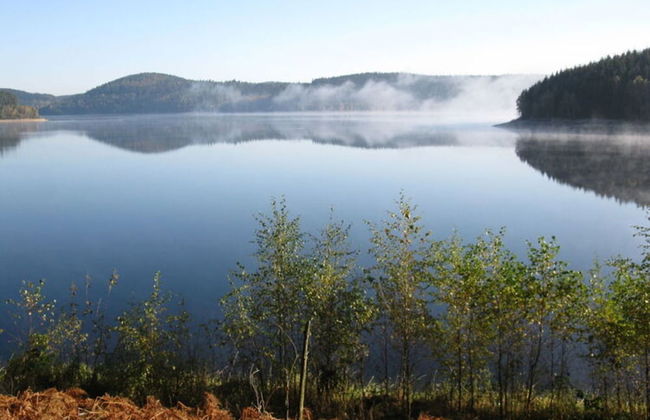 Apartment in Eibenstock - Foto 15