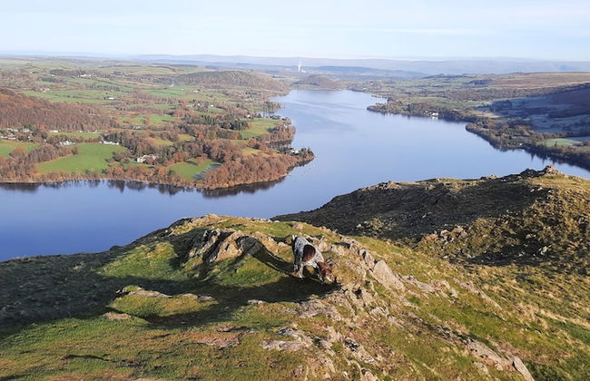 Cozy Lanarkshire Apartment With a View - Foto 33