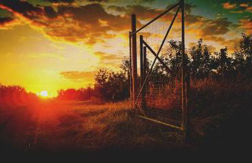 Ferienwohnung Blütenblick - Photo 6